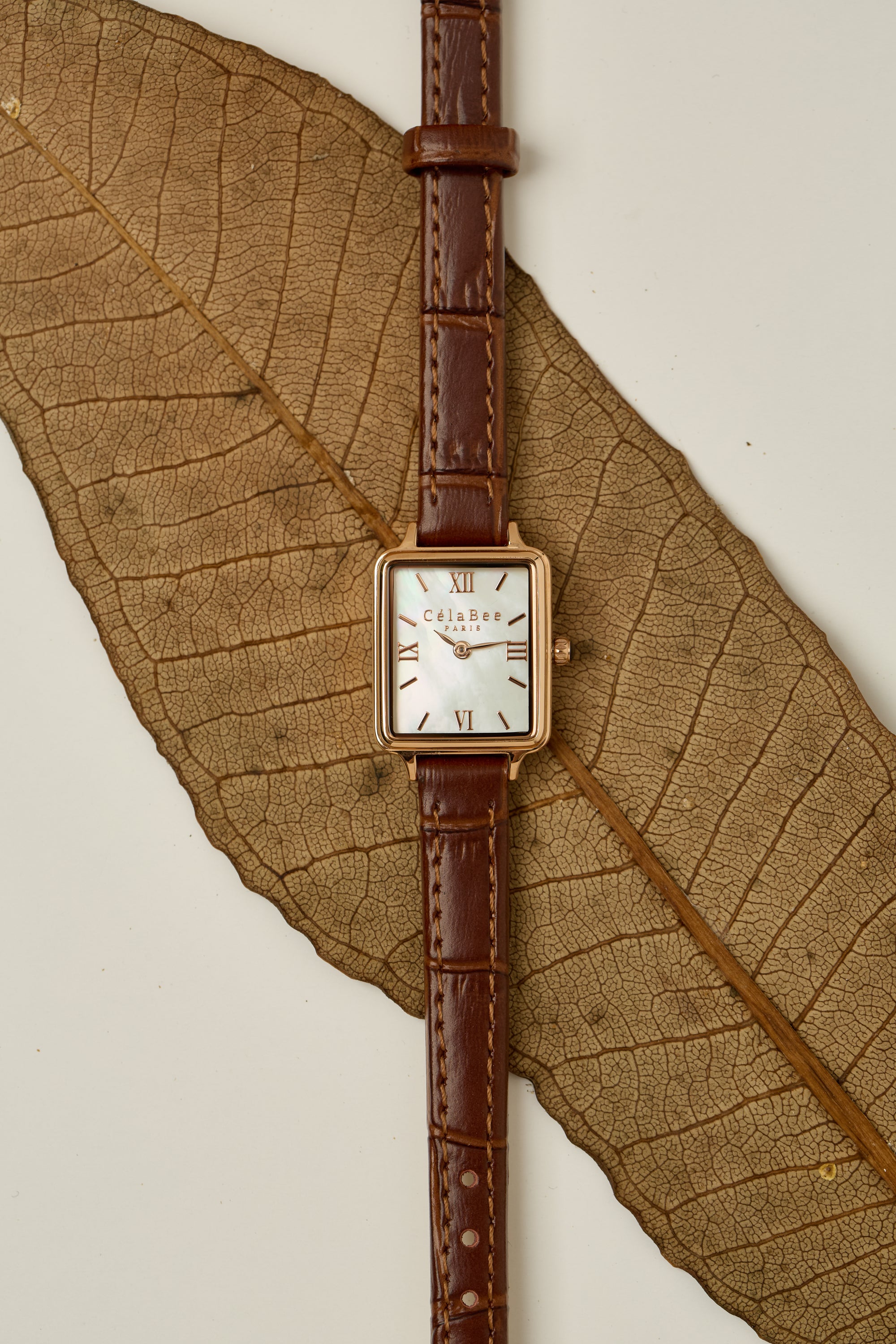 CélaBee Brown&White